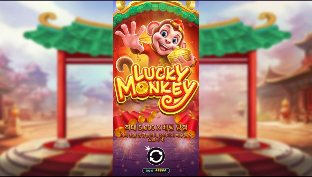 본문 첫번째 이미지