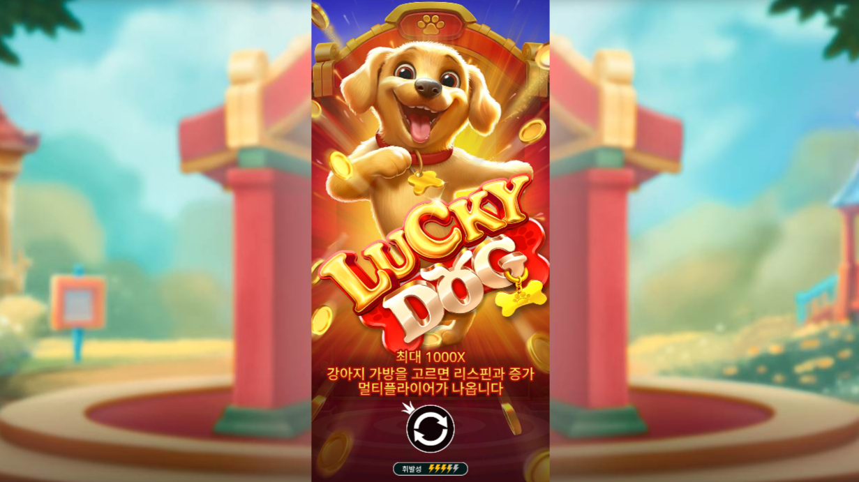 본문 첫번째 이미지