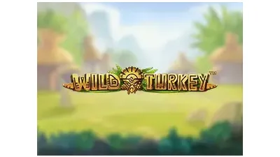 와일드 터키™
