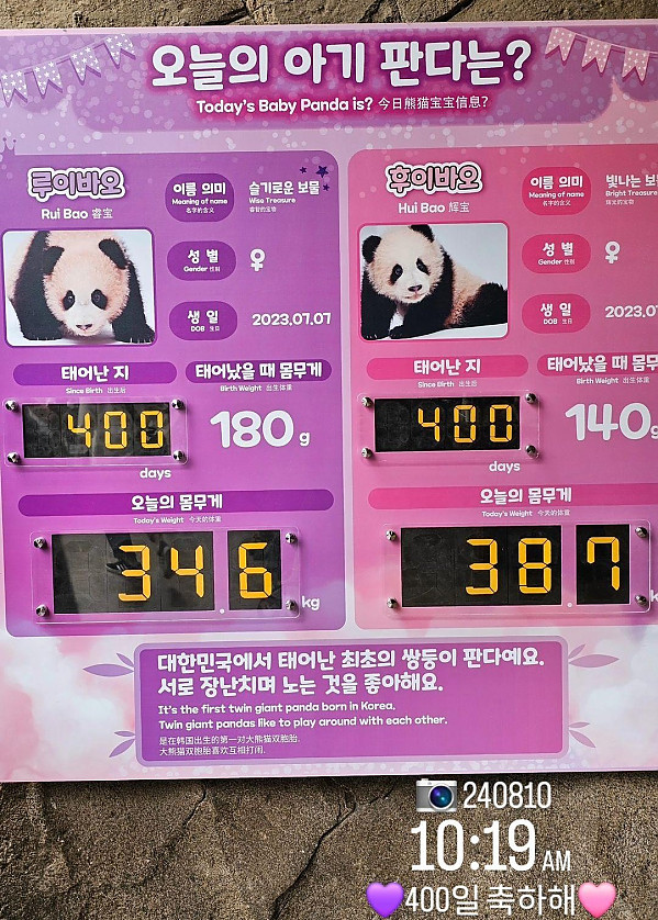 같은 400일 다른 몸무게 ????????????ㅋㅋㅋㅋㅋㅋㅋ.jpg (feat. 뚠빵이의 위엄)
