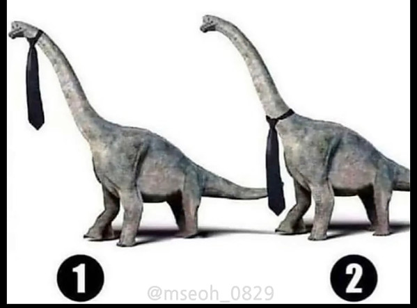 해외에서 논란 중인 문제