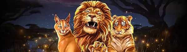 와일드 캣츠 멀티라인