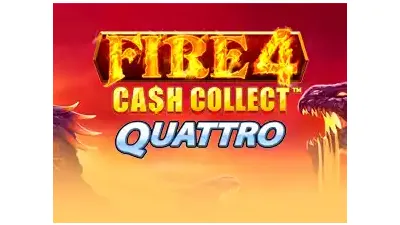 파이어 4 캐시 콜렉트 콰트로™