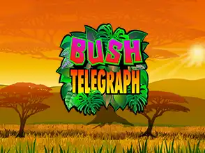 본문 첫번째 이미지