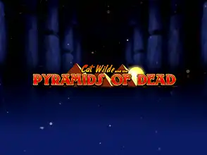 본문 첫번째 이미지