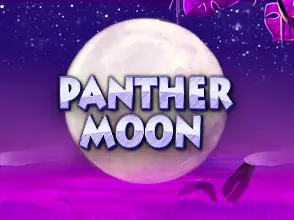 본문 첫번째 이미지