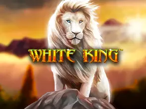 본문 첫번째 이미지