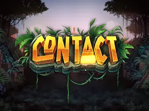 본문 첫번째 이미지