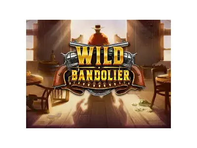 황량한 서부의 탄띠